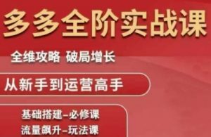 拼多多全阶实战课程,全维攻略,破局增长,从新手到运营高手-优品网赚资源库