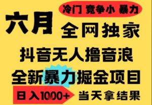 25年6月高爆抖音无人直播最新撸音浪掘金项目，小白可做，无脑日入1k+，门槛低可批量矩阵【揭秘】-优品网赚资源库