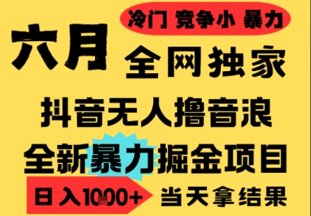 25年6月高爆抖音无人直播最新撸音浪掘金项目，小白可做，无脑日入1k+，门槛低可批量矩阵【揭秘】-优品网赚资源库