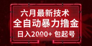 六月最新技术全自动暴力撸金,稳定日入2k+包起号,长期稳定【揭秘】-优品网赚资源库