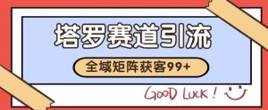 小红书某音塔罗赛道引流获客 自热矩阵日引200+【揭秘】-优品网赚资源库
