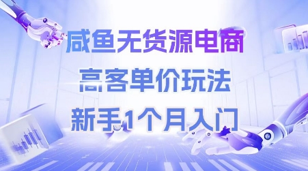 咸鱼无货源电商，高客单价玩法，新手1个月入门-优品网赚资源库