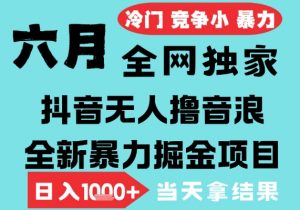 2025年6月高爆抖音无人直播最新撸音浪掘金项目，无脑日入1k+，低门槛小白可做，可矩阵放大【揭秘】-优品网赚资源库