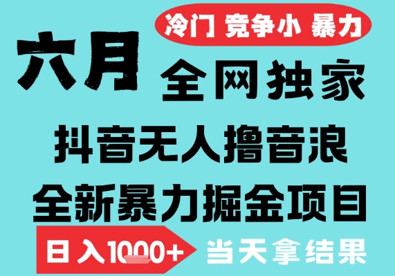 2025年6月高爆抖音无人直播最新撸音浪掘金项目，无脑日入1k+，低门槛小白可做，可矩阵放大【揭秘】-优品网赚资源库