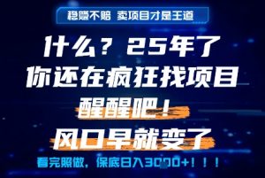 什么？25年你还在疯狂找项目做，醒醒吧，看完这些你全都懂了！【揭秘】-优品网赚资源库