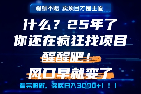 什么？25年你还在疯狂找项目做，醒醒吧，看完这些你全都懂了！【揭秘】-优品网赚资源库