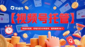 【视频号托管 】我提供视频,你每天花5分钟发布,最高躺挣2W+【揭秘】-优品网赚资源库
