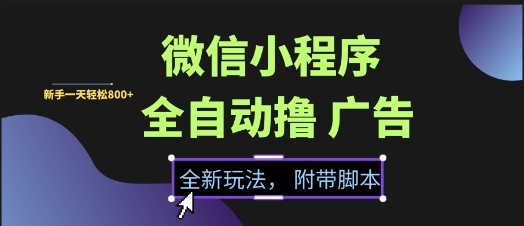 微信小程序全自动撸广告项目，彻底解决没流量的问题，新手一天8张+【揭秘】-优品网赚资源库
