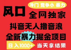 25年6月高爆抖音无人直播最新撸音浪掘金项目，解放双手小白可做，无脑日入1k+，门槛低【揭秘】-优品网赚资源库