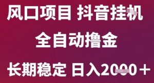 风口项目，六月最新玩法抖音无人挂G，全自动撸金，长期稳定 日入2k+【揭秘】-优品网赚资源库