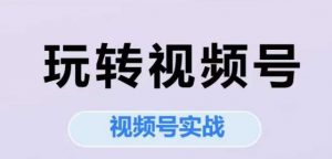 玩转视频号，视频号实战系列课-优品网赚资源库