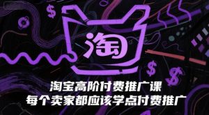 淘宝高阶付费推广课,每个卖家都应该学点付费推广-优品网赚资源库