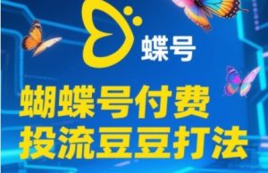 2025蝴蝶号付费投流豆豆打法,助新手快速掌握付费流量撬动自然流的核心玩法-优品网赚资源库