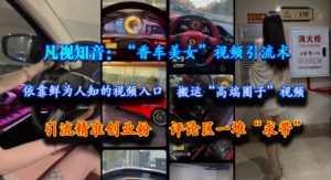 凡视知音:“香车美女”视频引流术,依靠鲜为人知的视频入口,搬运“高端圈子”视频,引流精准创业粉,评论区一堆“求带”-优品网赚资源库