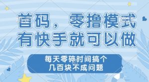 首码零撸项目,有快手就可以做,每天业务时间搞个几张不是问题【揭秘】-优品网赚资源库