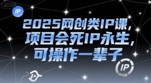 2025网创类IP课，项目会死IP永生，可操作一辈子-优品网赚资源库