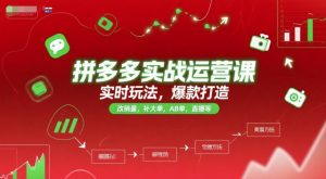 拼多多实战运营课，实时玩法，爆款打造，改销量，补大单，AB单，直播等（更新2025月）-优品网赚资源库