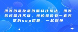 拼多多最快最多黑科技玩法，拼多多起量并不难，难的是没有一套完整的sop流程，一起爆单（更新6月）-优品网赚资源库