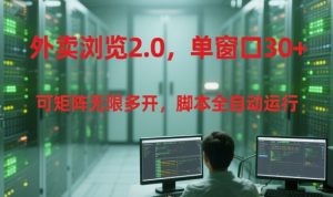 外卖浏览2.0，单窗口30+可矩阵无限多开，脚本全自动运行【揭秘】-优品网赚资源库