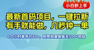 最新首码项目,一键拉新有手就能做,几秒钟一单,1个小时单号可60+,矩阵批量做每天5张【揭秘】-优品网赚资源库