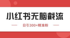 小红书截流同行客源，独家野路子获客玩法 日引200+暴力获客【揭秘】-优品网赚资源库