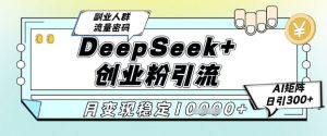DeepSeek+创业粉精准引流，全新分享课4.0玩法，AI矩阵日引300+，多种变现方式，稳定月入1W-优品网赚资源库