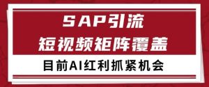 小红书某音sap赛道引流获客 自热矩阵日引200+【揭秘】-优品网赚资源库