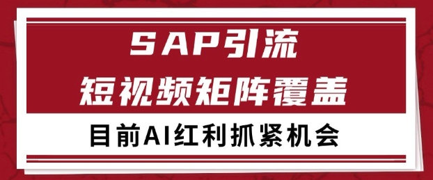 小红书某音sap赛道引流获客 自热矩阵日引200+【揭秘】-优品网赚资源库
