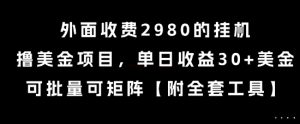 外面收费2980的挂G撸美金项目，单日收益30+美金，可批量可矩阵【揭秘】-优品网赚资源库