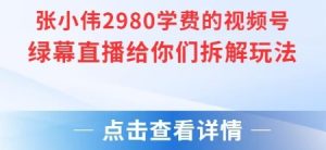 张小伟2980付费额视频号绿幕直播给你们拆解玩法-优品网赚资源库