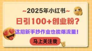 2025年小红书日引100+创业粉?这招新手抄作业也能爆流量!-优品网赚资源库