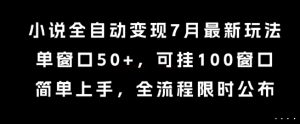 小说全自动变现7月玩法，单窗口50+，可挂100窗口，简单上手，全流程限时公布【揭秘】-优品网赚资源库