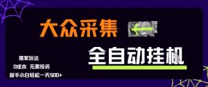 大众采集全自动玩法，新手小白轻松一天5张+，操作简单零成本【揭秘】-优品网赚资源库