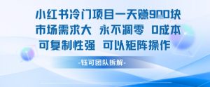 小红书冷门项目一天收益9张，市场需求大，0成本，可复制性强可以矩阵操作-优品网赚资源库
