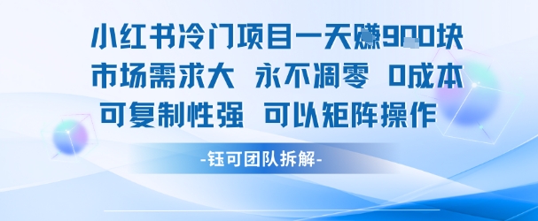 小红书冷门项目一天收益9张,市场需求大,0成本,可复制性强可以矩阵操作-优品网赚资源库