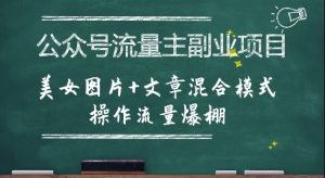 公众号流量主副业项目，美女图片+文章混合模式操作流量爆棚-优品网赚资源库