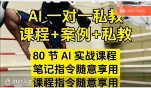 AI指令实战课，课程+案例，80节AI实战课程，笔记指令随意享用，课程指令随意享用（更新7月）-优品网赚资源库