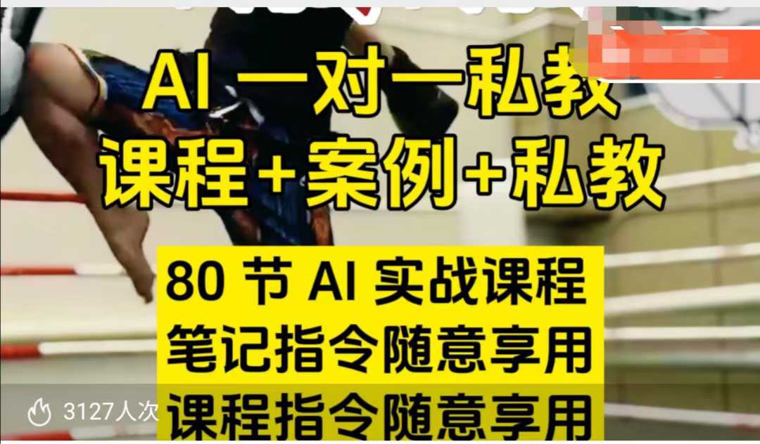 AI指令实战课，课程+案例，80节AI实战课程，笔记指令随意享用，课程指令随意享用（更新7月）-优品网赚资源库