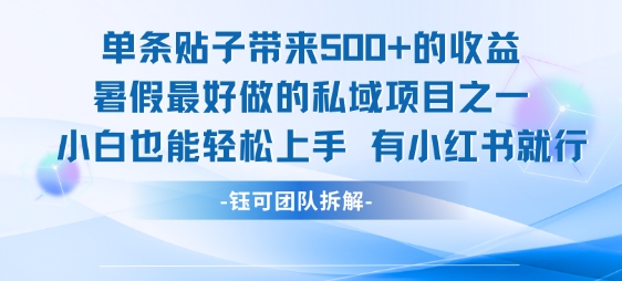 单条贴子带来5张的收益，暑假最好做的私域项目之一，小白也能轻松上手，有小红书就行-优品网赚资源库