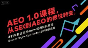AEO 1.0 课程，从SEO到AE0的基命性转变，手把手教会你用AnswerEngineOptimization技术抢回流量-优品网赚资源库