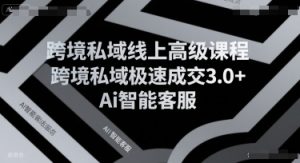 跨境私域线上高级课程，跨境私域极速成交3.0+Ai智能客服-优品网赚资源库