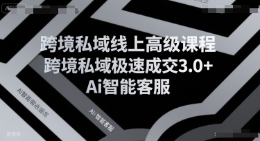 跨境私域线上高级课程，跨境私域极速成交3.0+Ai智能客服-优品网赚资源库