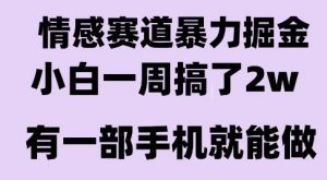 情感暴力掘金项目，新人操作一周挣了2W，长期稳定小白可做【揭秘】-优品网赚资源库