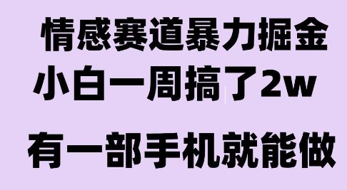 情感暴力掘金项目,新人操作一周挣了2W,长期稳定小白可做【揭秘】-优品网赚资源库