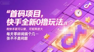 首码项目，快手全新0撸玩法，有快手就可以做，可矩阵放大，每天零碎时间搞个几张不是问题【揭秘】-优品网赚资源库