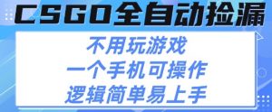 CSGO自动捡漏项目,最新独家玩法,不用挂G不用玩游戏,一个手机即可操作,新手小白轻松月入1W+【揭秘】-优品网赚资源库