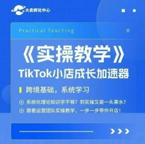大卖家孵化中心TikTok实操课，TikTok小店成长加速器，跨境基础系统学习，一步一步带你开店-优品网赚资源库