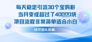 每天稳定引流30个人 当月变成超过了4个W项目流程非常简单适合小白-优品网赚资源库