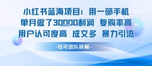 小红书蓝海项目，一部手机单月做了3W利润，小白也能月入过1W用户认可度高成交多-优品网赚资源库