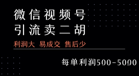 视频号卖二胡教程，利润大 易成交 售后少，一单利润5张+-优品网赚资源库